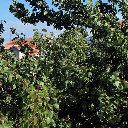 With Parking Space Supetar, Brac - 5612 * سوبيتار